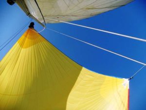 Goldgelb - tolle Farbe vor blauem Himmel