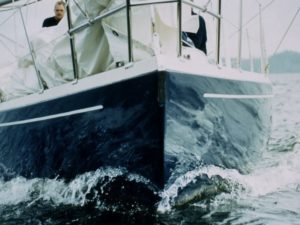 Unter Spinnaker durch die Schären nach Stockholm