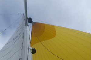 ... und unter Gennaker wieder zurück nach Strande