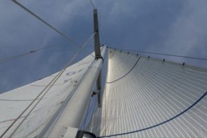 Die Fäden der "Tape Drive Silver" glitzern in der Sonne