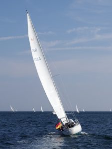 Ein schlankes Boot mit hohem Rigg - die Avance 36